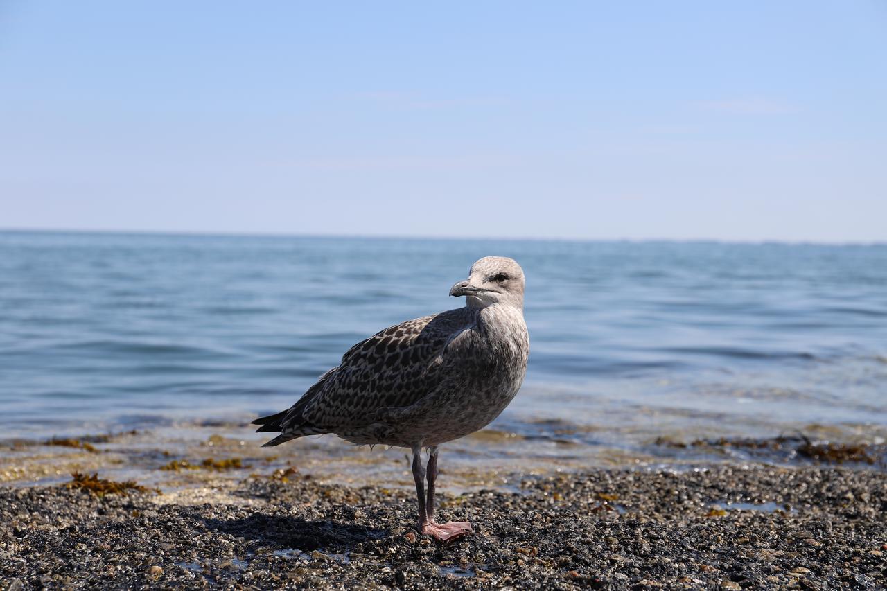 Mein Urlaub auf Sylt Westerland Exterior foto